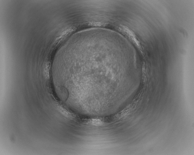 X0000115550114200911201809