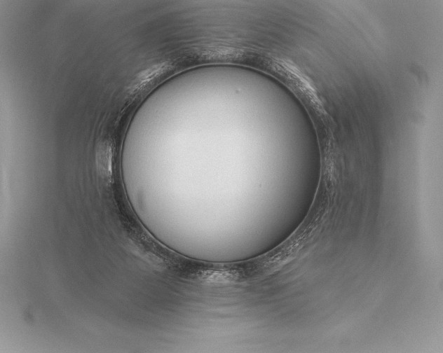 X0000115550115200911201809