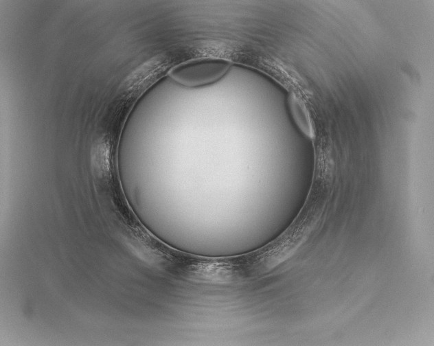 X0000115550117200911201809