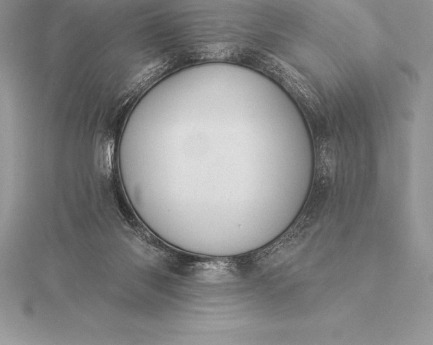 X0000115550118200911201809