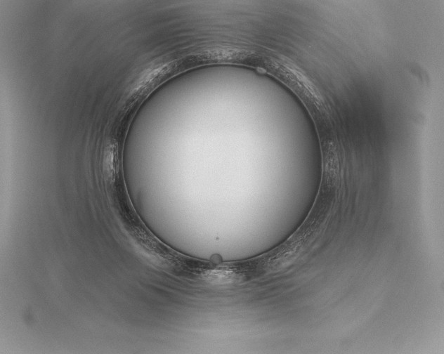 X0000115550119200911201809