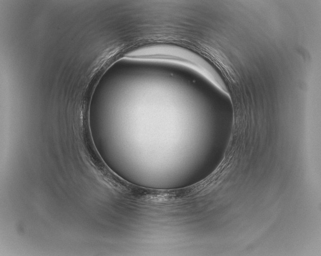 X0000115550120200911201809