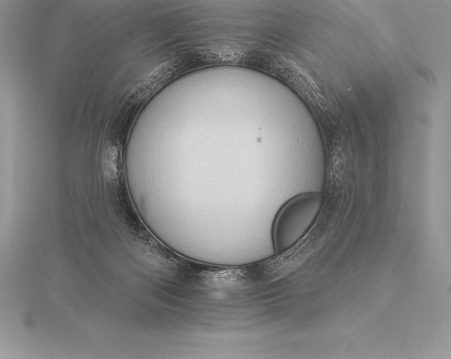 X0000115550122200911201809