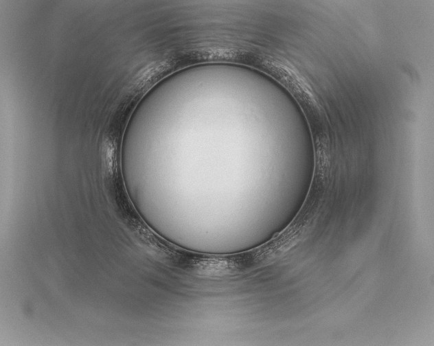 X0000115550123200911201809