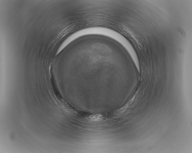 X0000115550124200911201809