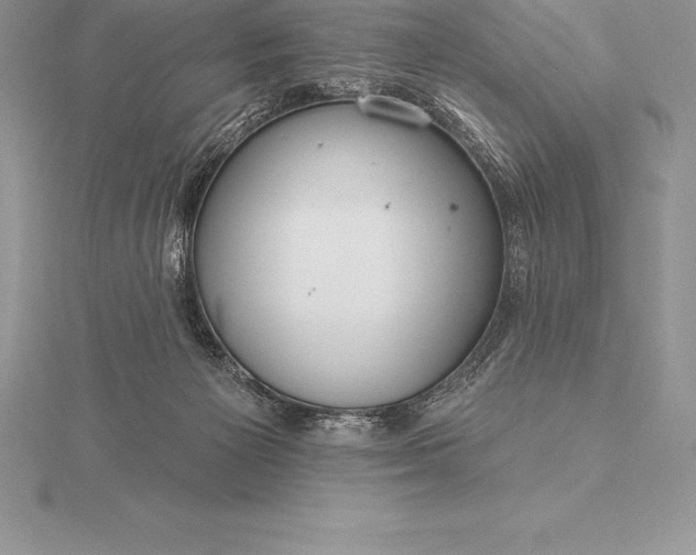 X0000115550125200911201809