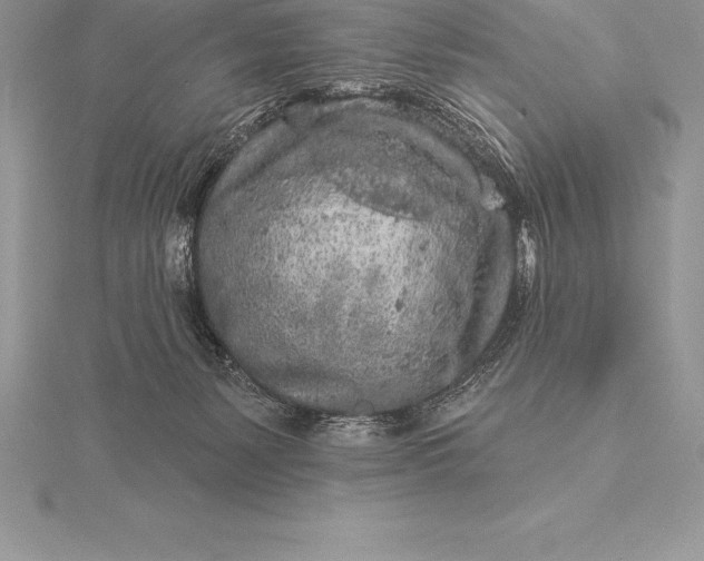 X0000115550127200911201809