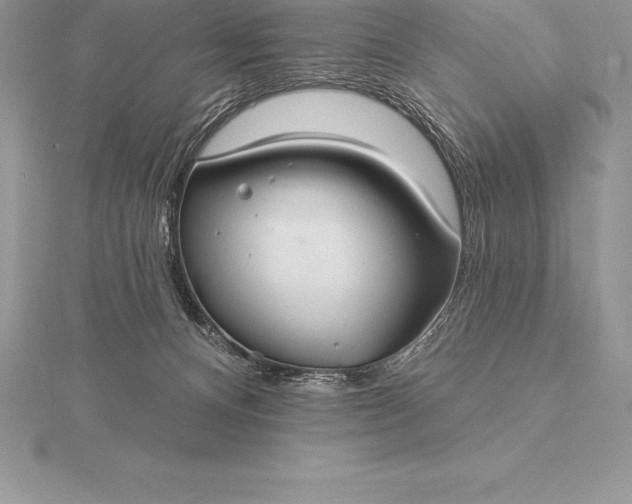 X0000115550128200911201809