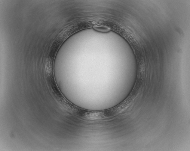 X0000115550129200911201809