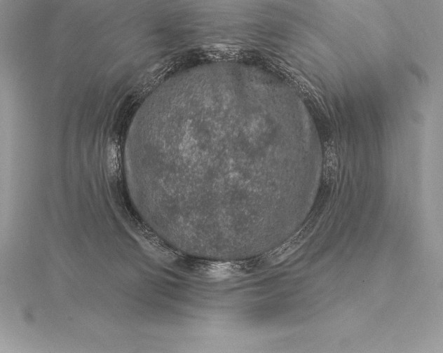 X0000115550130200911201809