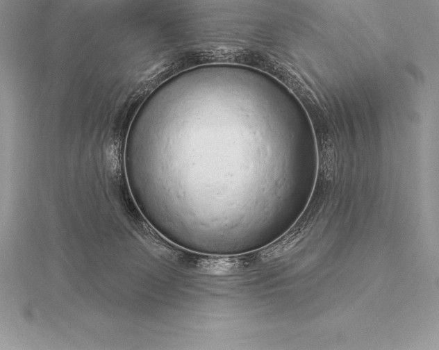 X0000115550131200911201809