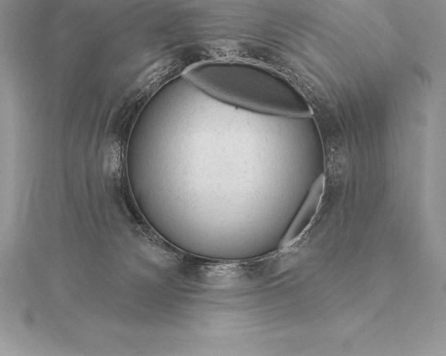 X0000115550132200911201809