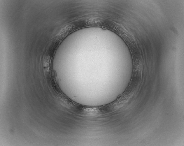 X0000115550133200911201809