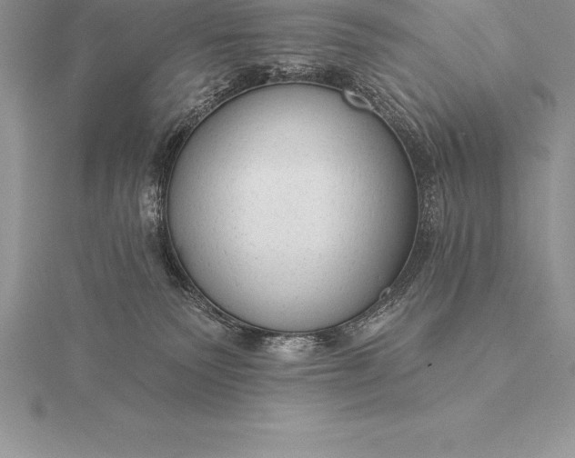 X0000115550135200911201809