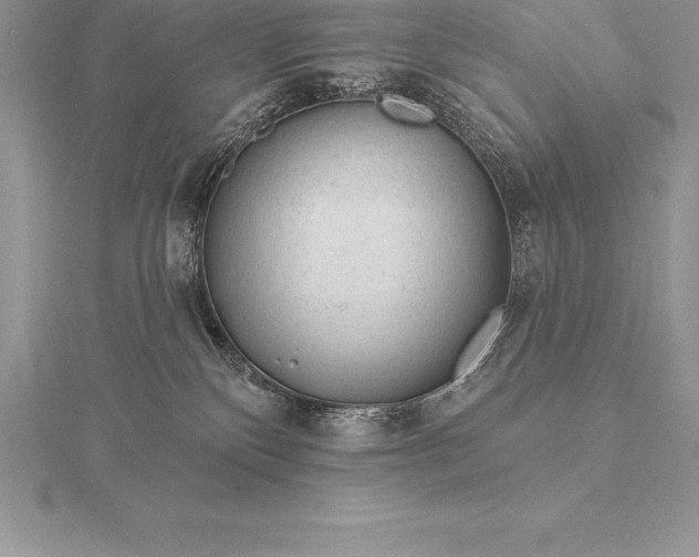 X0000115550136200911201809