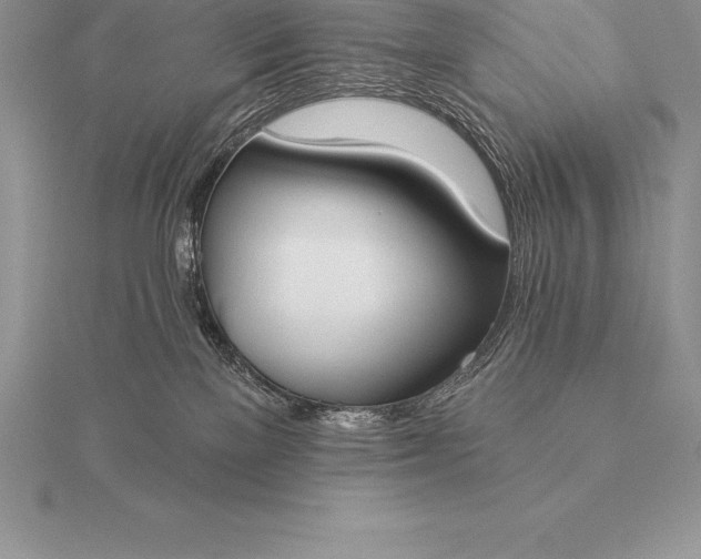 X0000115550137200911201809