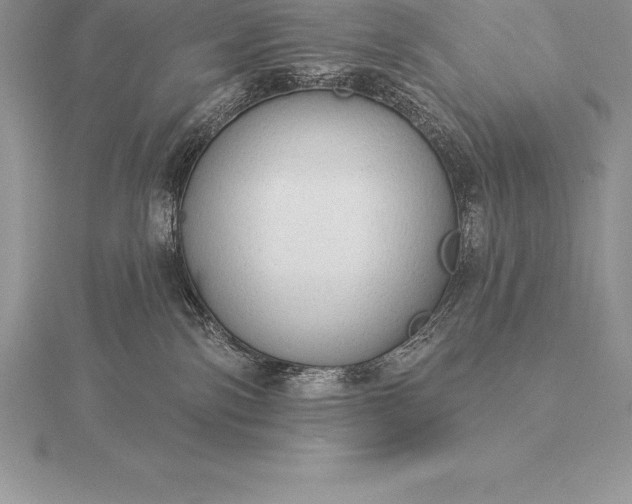 X0000115550138200911201809