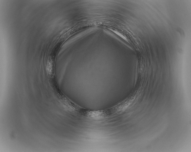 X0000115550139200911201809