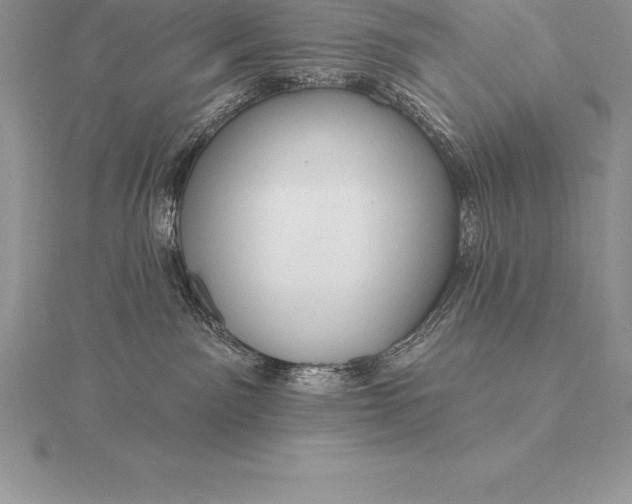 X0000115550141200911201809