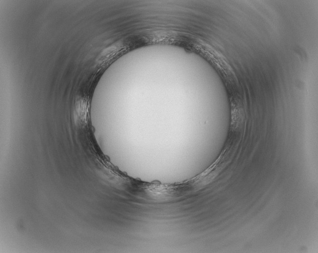 X0000115550142200911201809