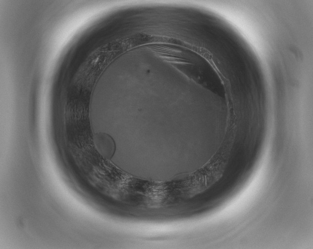 X0000115550143200911201809