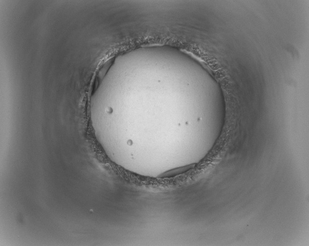 X0000115550144200911201809