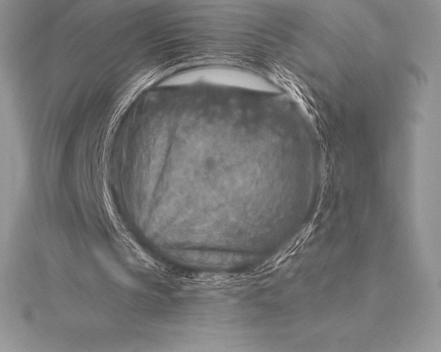 X0000115550145200911201808