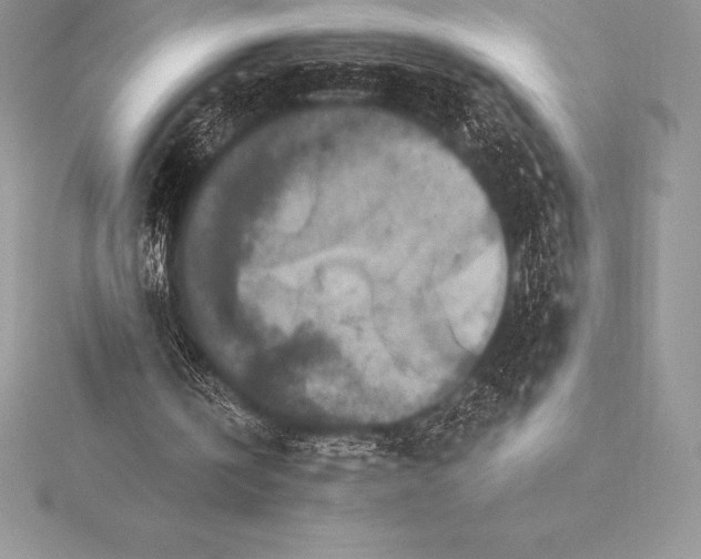 X0000115550146200911201808