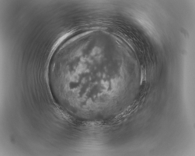 X0000115550147200911201808