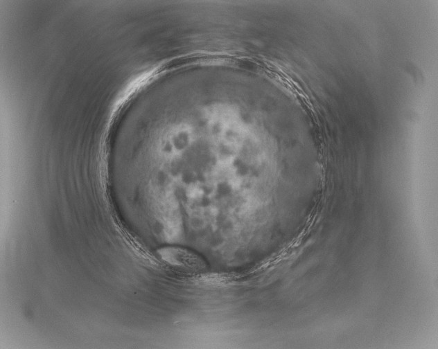 X0000115550149200911201808