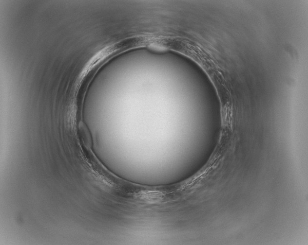 X0000115550150200911201808