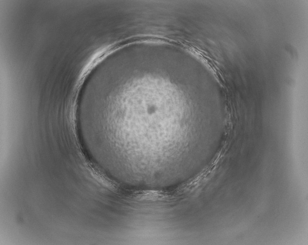 X0000115550151200911201808