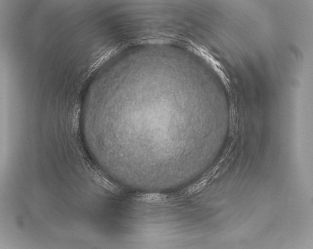 X0000115550153200911201808