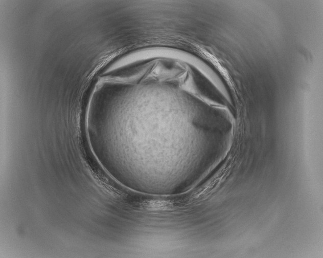 X0000115550154200911201808