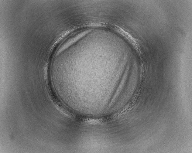 X0000115550155200911201808