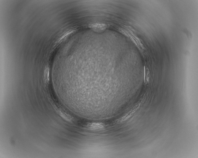 X0000115550157200911201808