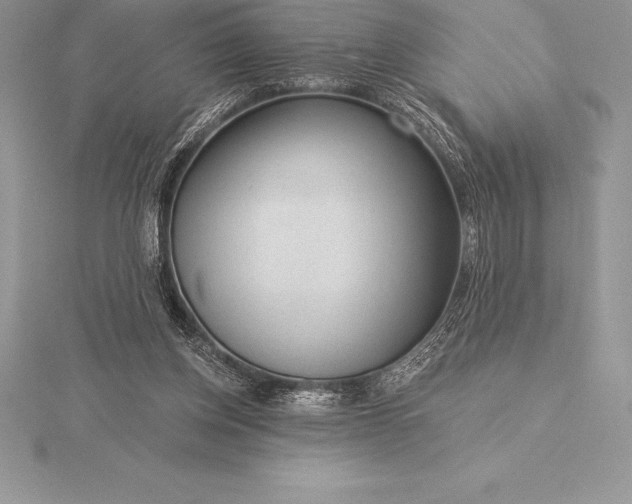 X0000115550158200911201808