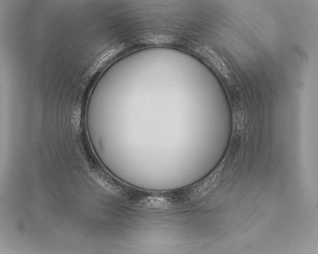 X0000115550159200911201808