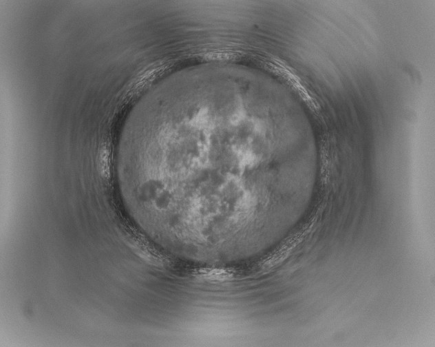 X0000115550161200911201808