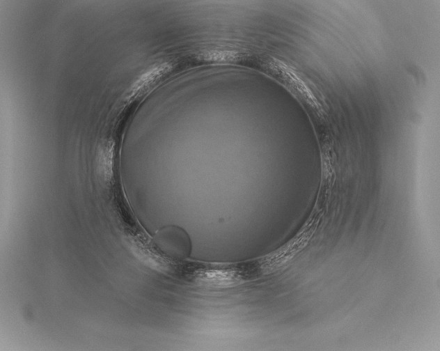 X0000115550163200911201808