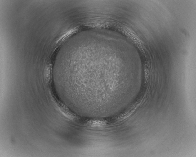 X0000115550165200911201808