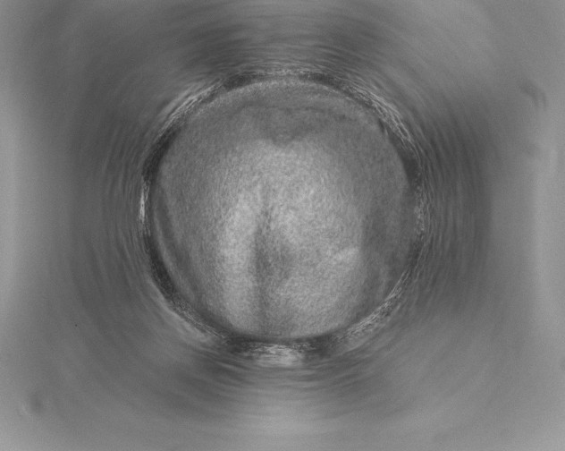 X0000115550166200911201808