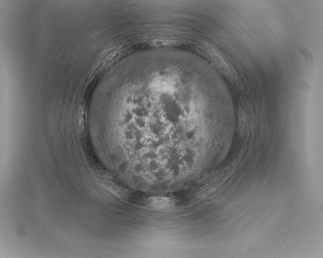 X0000115550169200911201808