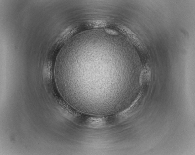 X0000115550170200911201808