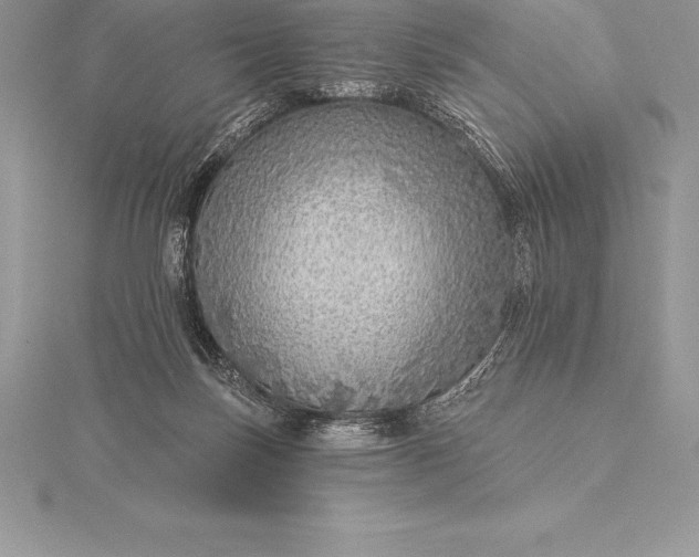 X0000115550171200911201808