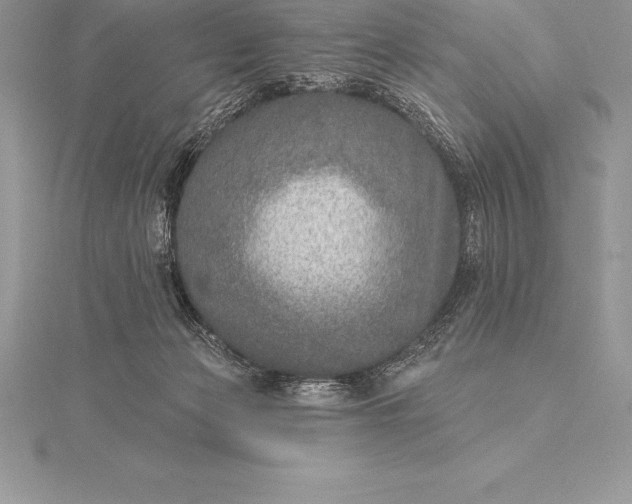 X0000115550173200911201808