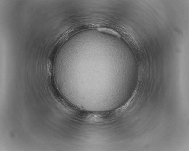 X0000115550174200911201808