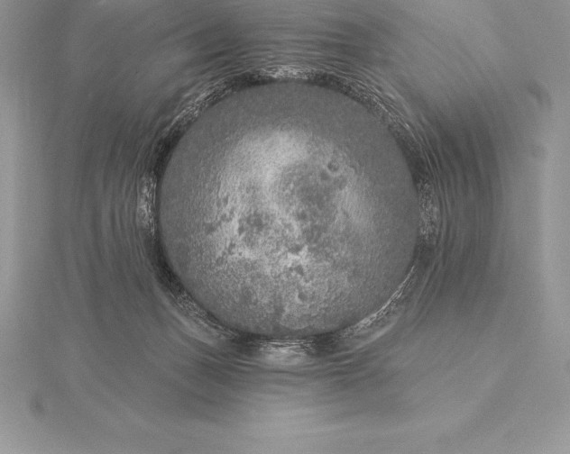 X0000115550175200911201808