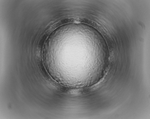 X0000115550178200911201808