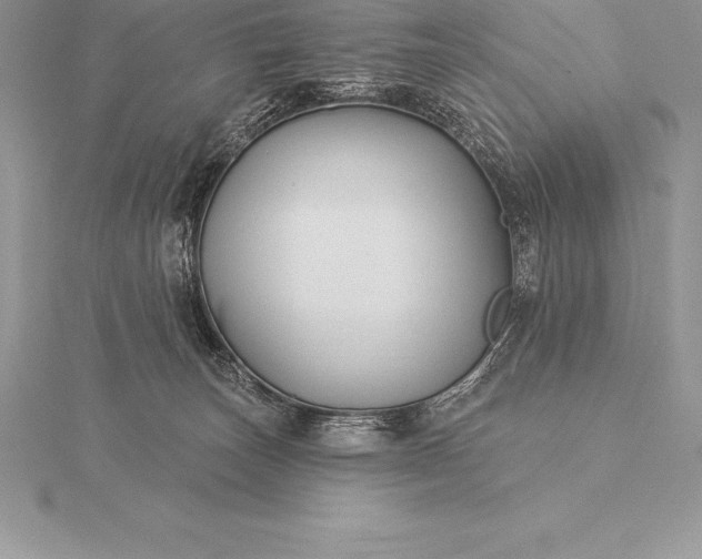 X0000115550179200911201808